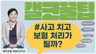 사고를 치고도 보험 처리가 될까? #캘코보험 #사고 #미국