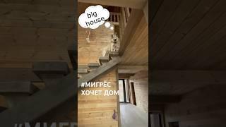 Миг хочет мой дом #barnhouse #мигпёс