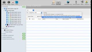 Ask the Expert VSC (Volume Shadow Copy)in Cellebrite Inspector (Formerly BlackLight) Heather Mahalik