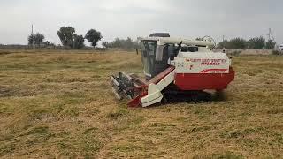 FM WORLD rice  combine harvester in field