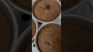 Chocolate Cupcakes