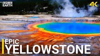 Yellowstone 4K | Witness Geysers, Wildlife & Raw Earth Power!