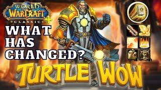 PALADIN on TURTLE WoW: What Has Changed?