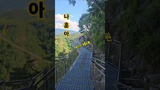 #원주##잔도길#울렁다리