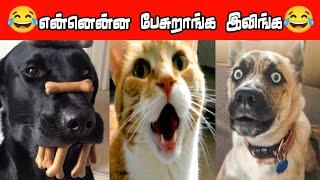 இருங்க first ல இருந்து வர டுர்ர்ர்ர்ர்ர் .....#viral #trending #comedy #funnyanimalvideos