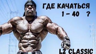 Где качаться 1-40 в Lineage 2 Classic!