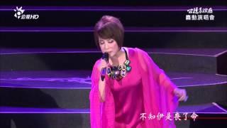 公視 HD 黃俊雄轟動演唱會~大節女~葉璦菱