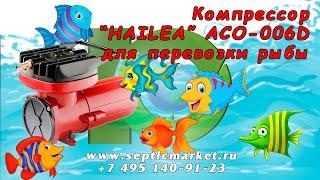 Компрессор для перевозки рыбы Hailea ACO 006D | Интернет-магазин SepticMarket.ru