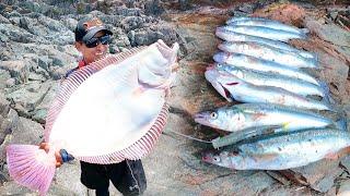 LENGUADO de 7 kilos y grandes PEJERREYES