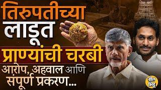 Tirupati Laddu Controversy: Balaji मंदिरातील प्रसादात जनावरांची चरबी? TDP चा YSR Congressवर आरोप का?