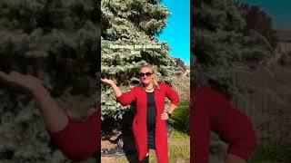 HOW TO OWN A HOME FASTER? WATCH THIS!
