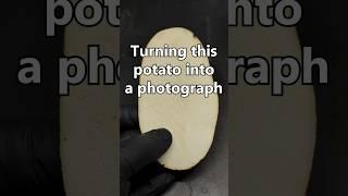 Photographic... Potato?