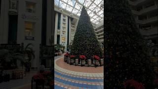 Orlando International Airport MCO Saturday December 28th, 2024 #mcoairport #mco