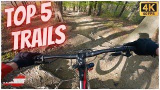 The Best Legal Mountain Bike Trails in Vienna, Austria 2022 | MTB ranking 4K