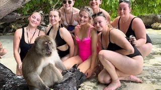 ️ MONKEY BEACH PHI PHI ISLAND, UP CLOSE WITH CHEEKY MONKEYS IN TROPICAL PARADISE, THAILAND, 4K