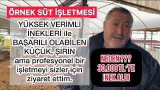 NEDEN 30.000 TL’ye İNEK ALDI ??? #sütineği #büyükbaş #hayvancılık