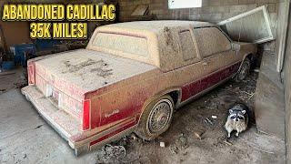 Cadillac Coupe DeVille ABANDONED With 35k Original Miles! First Wash in 21 Years!