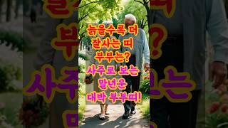 늙을수록 더 잘사는 띠 부부는?사주로 보는 말년운 대박 부부띠!#말년운