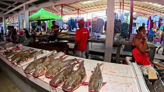 Big New LENORA MARKET Shopping Haul Extravaganza #Guyana