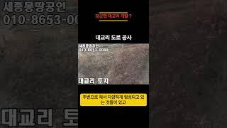 세종시토지 세종장군면대교리 개발현황세종 몽땅부동산 공인중개사