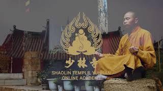 SHAOLIN TEMPLE YUNNAN ONLINE ACADEMY