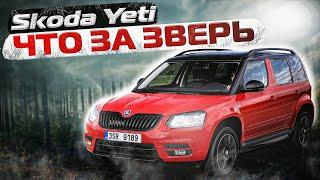 Skoda Yeti | Анатомические особенности. Чего ждать от б/у кроссовера?