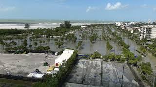 Conditions at Sarasota County Siesta Key Beach as of 11 a.m. on Sept. 27, 2024