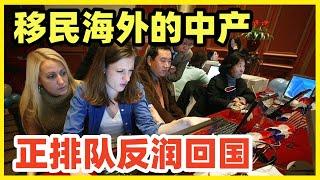 移民海外的中产正排队回国！今天还想移民，也算低智筛选！靠国运挣钱凭无知挥霍！