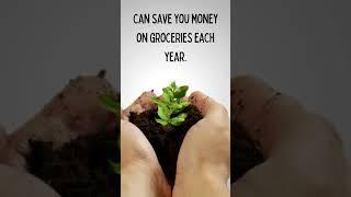 Surprising Garden Facts You Need to Know | Learn & Grow with Me! #shorts #GardenFacts #GardenTips 14