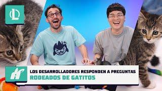 Los desarrolladores contestan preguntas rodeados de gatitos | League of Legends