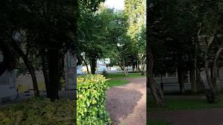 Любимый Зеленогорск. Утро, сегодня .      #tataanriпитер #зеленогорск
