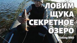 ЛОВИМ ЩУКУ в ОЗЕРЕ о КОТОРОМ ни КТО не ЗНАЕТ #рыбалка #fishing