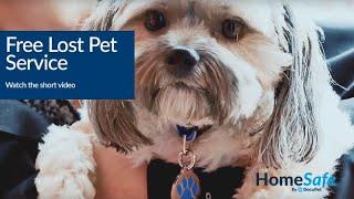 How DocuPet's Free HomeSafe™ Lost Pet Service Works