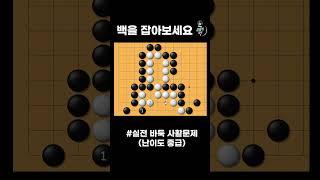 바둑 사활 묘수 - 거대한 백을 침몰시키는 묘수는? (11월 12번문제)