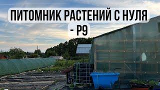 10. Питомник растений с нуля - р9 // горшок 0,5 литра