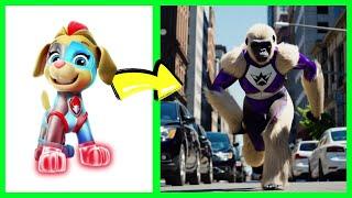 Paw Pups Groove  PAW Patrol Songs