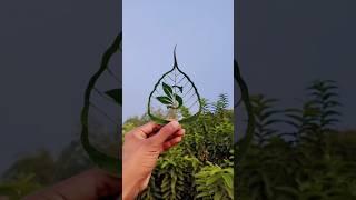 S leaf cutting art #sandeepleafartist #shorts #trending #leaf #nature #village #viralvideo #video
