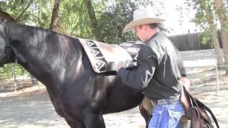 Professional's Choice SMx Air Ride Saddle Pad