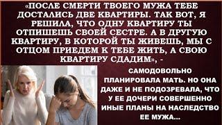 Родственники сразу же слетелись на дележ имущества, доставшееся в наследство от  мужа старшей дочери