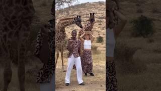 One giraffe refused to join@isabellaafro #travel #dance #trending #shorts