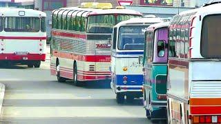 Historic OmniBus Meeting 2023 - Neoplan, Setra Kässbohrer, Bristol RE, Mercedes-Benz, Ikarus