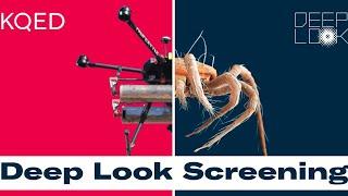 From Mites on Drones to Deadly Mushrooms – A Deep Look Screening and Q&A