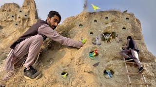 Hum na Owl Parrot aur Batair pakar lye  Desert sa owl ko rescue kar lyia  Ah pets vlog