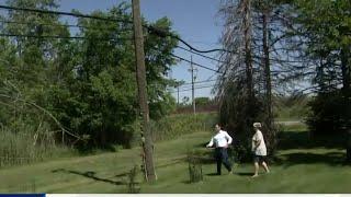 Brownstown Twp family fears low-hanging powerlines; DTE says there's no danger