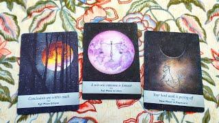 Tarot chọn tụ: BẠN LÀ NAI TƠ 🫎 HAY SƯ TỬ ĐÁNG SỢ  TRONG MẮT CỦA MỌI NGƯỜI? 🫎 Tarot Xuân Thúy