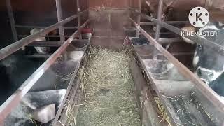 Жизнь на селе. Делаем раскол для скотины.