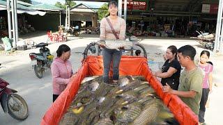 Use 3-wheeled Vehicle Harvesting Lots Of Big Fish Goes To Countryside Market Sell - Daily Life