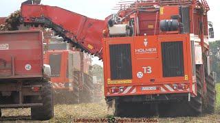 Holmer - Fendt / Zuckerrübenernte - Sugar Beet Harvest