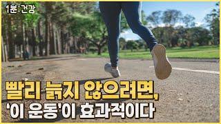 [1분 건강] 노화를 늦추는 비결! '이 운동' 해보세요