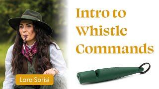 Into to whistle commands